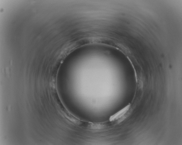 X0000074320766200609082007