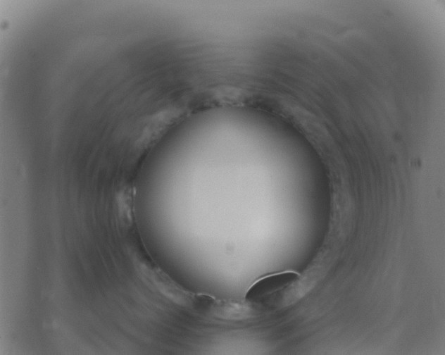 X0000074320768200609082007