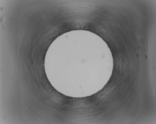 X0000074320769200609082006