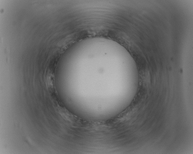 X0000074320770200609082006