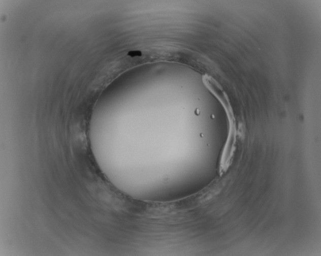 X0000074320771200609082006