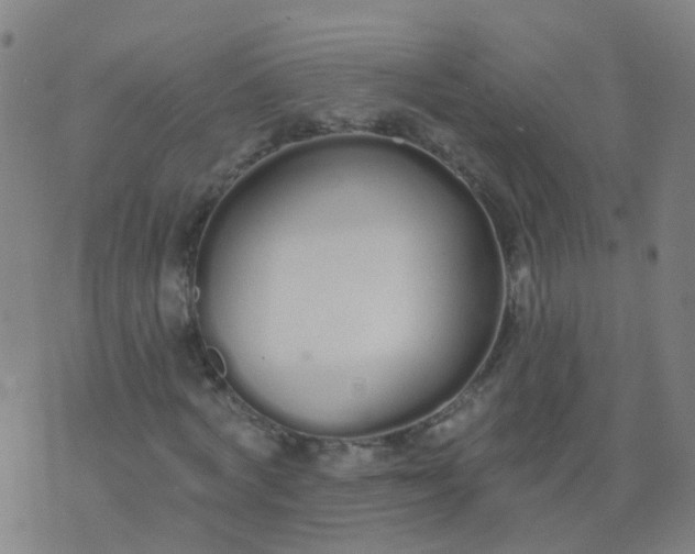 X0000074320772200609082006