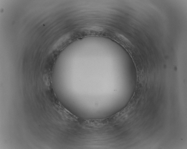 X0000074320774200609082006