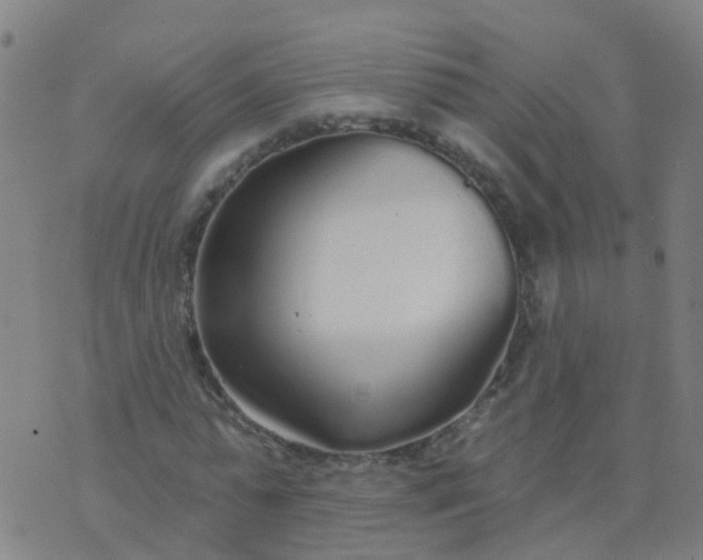 X0000074320775200609082006