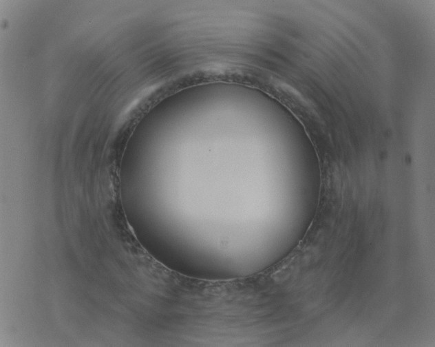 X0000074320776200609082006