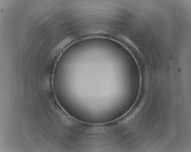 X0000074320777200609082006