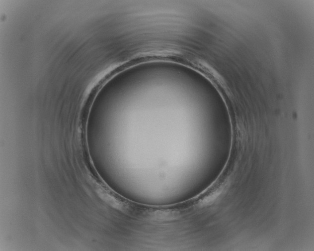 X0000074320779200609082006