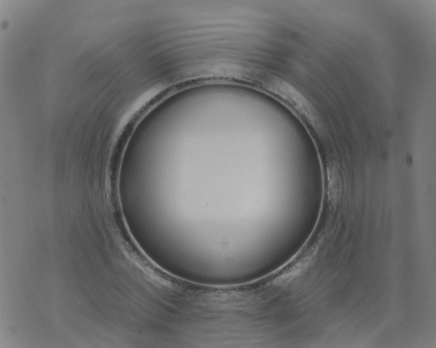 X0000074320780200609082006