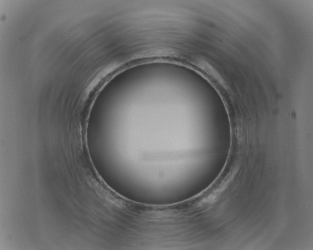 X0000074320781200609082006