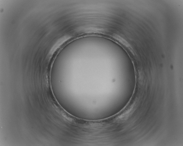 X0000074320782200609082006