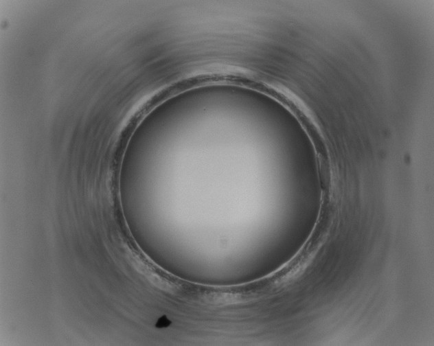 X0000074320783200609082006