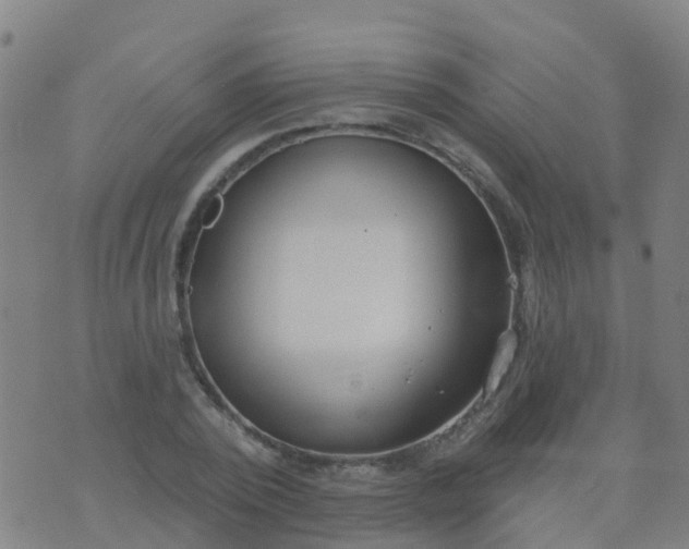 X0000074320784200609082006