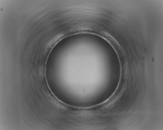 X0000074320785200609082006