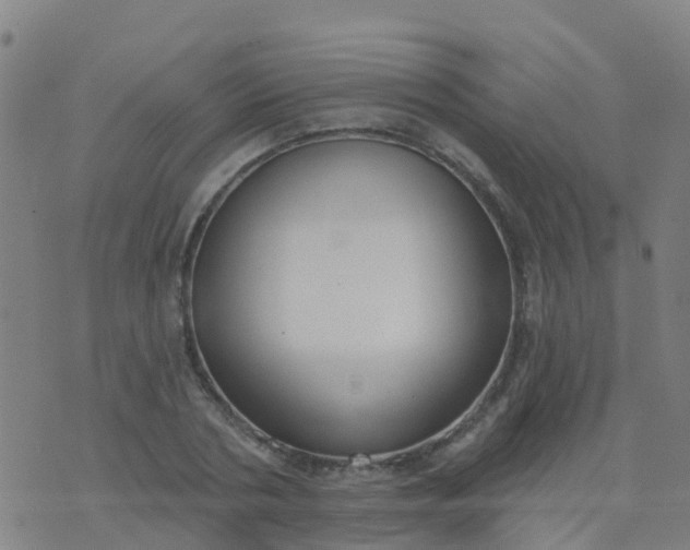 X0000074320786200609082006