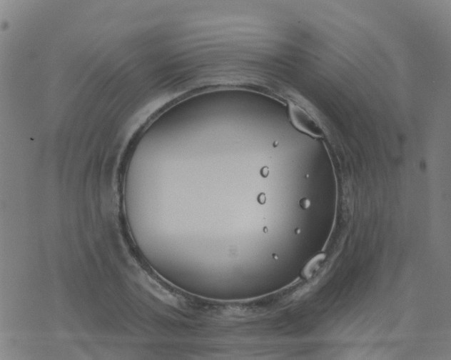 X0000074320787200609082006