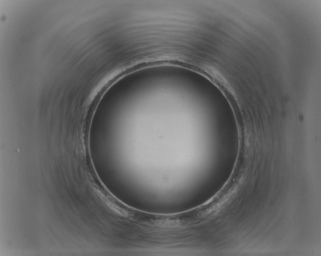 X0000074320789200609082006