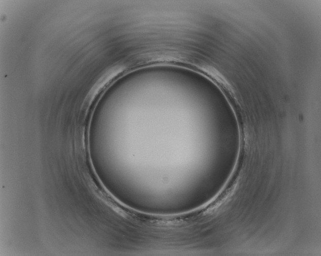 X0000074320790200609082006