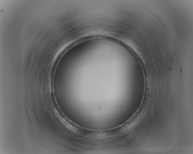 X0000074320791200609082006