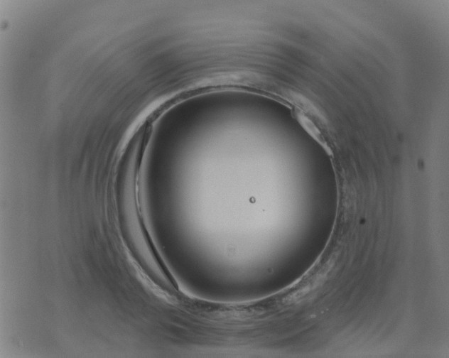 X0000074320792200609082006