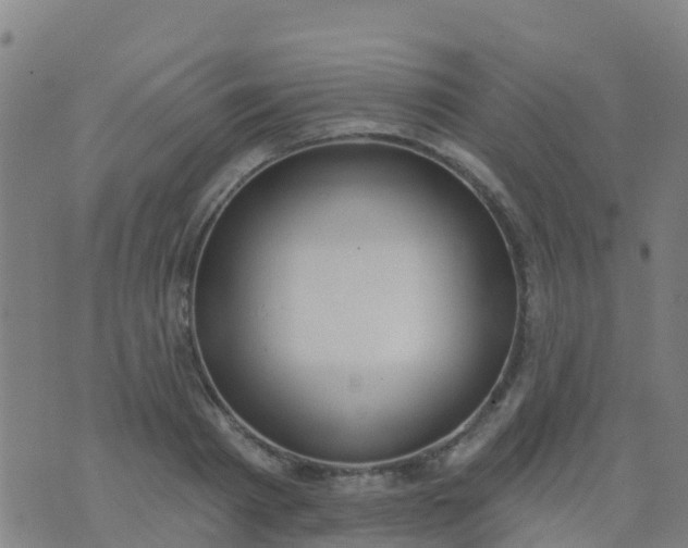 X0000074320793200609082006