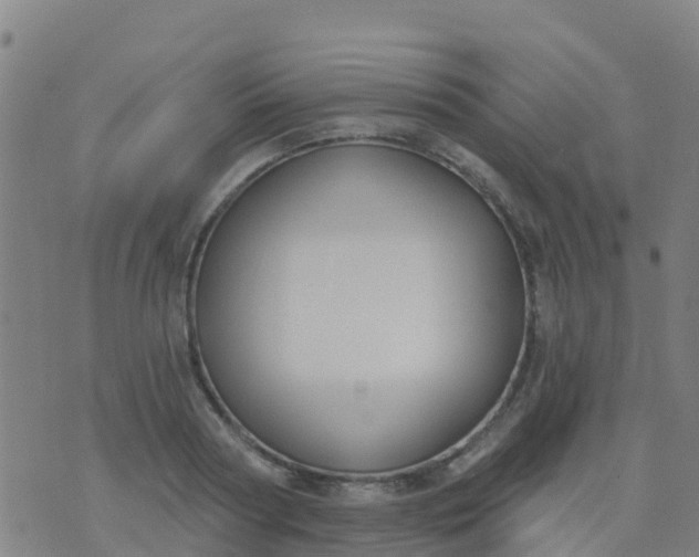 X0000074320794200609082006