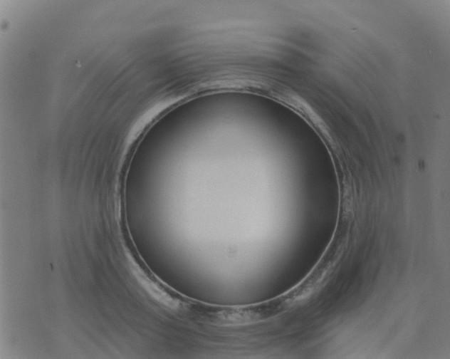 X0000074320795200609082006