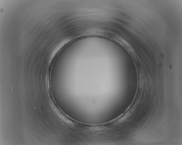 X0000074320796200609082006