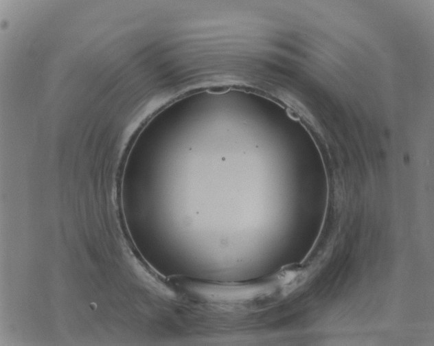 X0000074320797200609082006