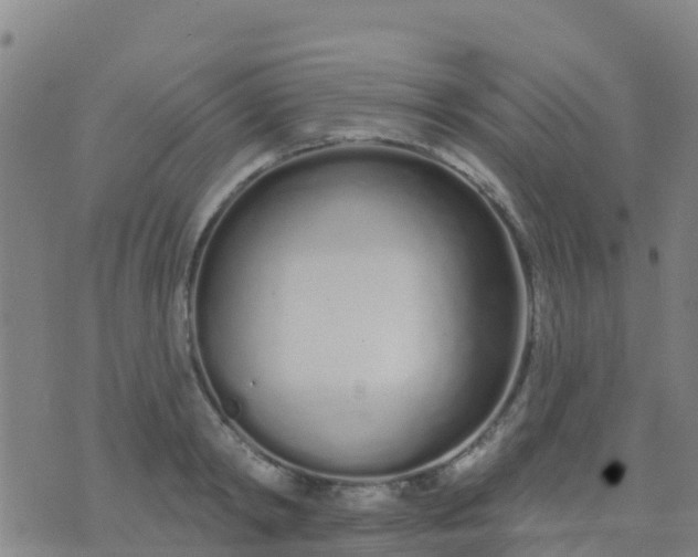 X0000074320798200609082006