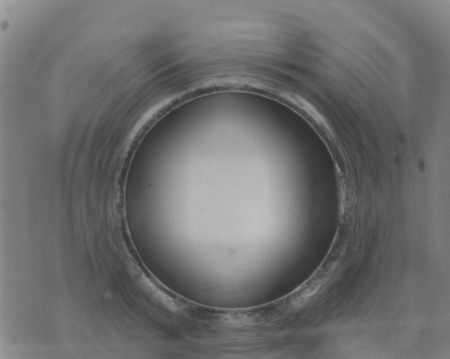 X0000074320799200609082006