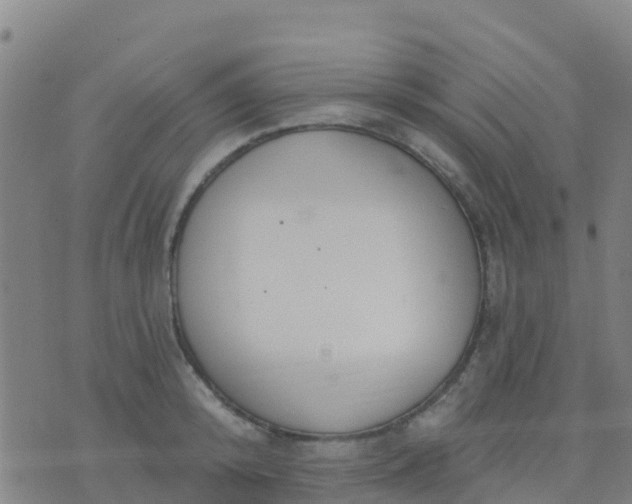 X0000074320800200609082006