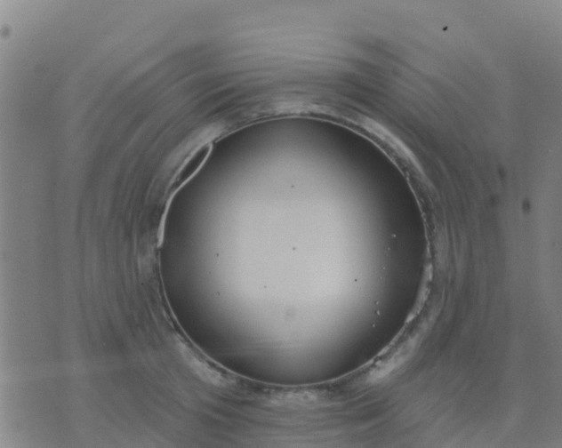 X0000074320801200609082006