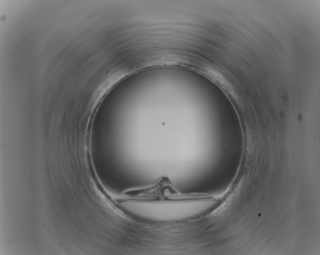 X0000074320802200609082006