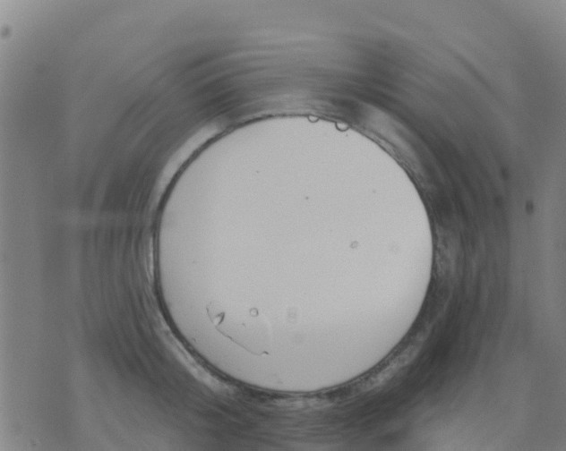 X0000074320804200609082005