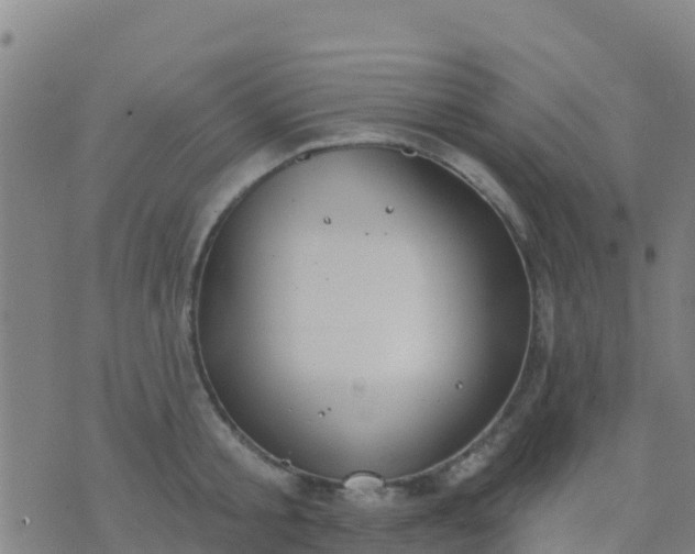 X0000074320805200609082005