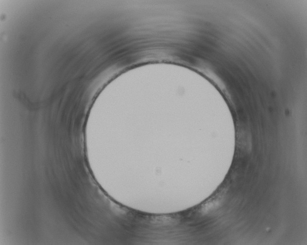 X0000074320807200609082005