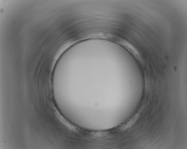 X0000074320808200609082005