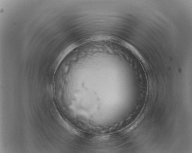 X0000074320810200609082005