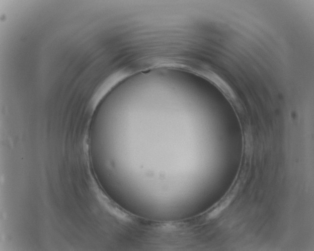 X0000074320814200609082005