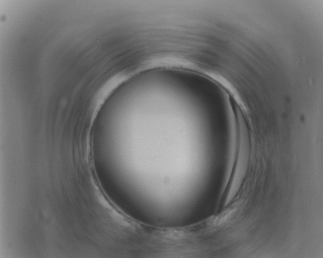 X0000074320815200609082005