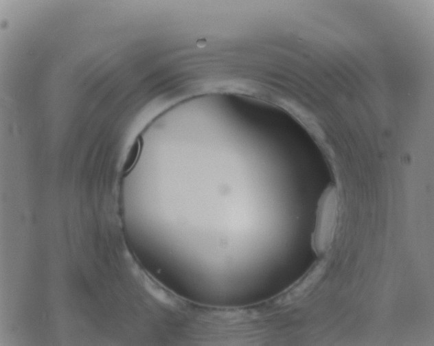 X0000074320816200609082005