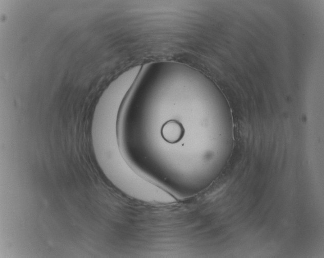 X0000074320818200609082005