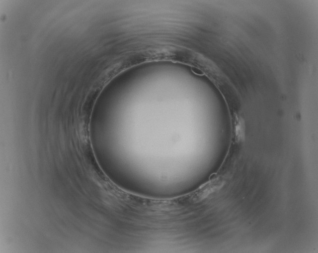 X0000074320819200609082005