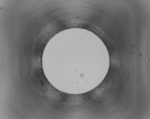 X0000074320820200609082005