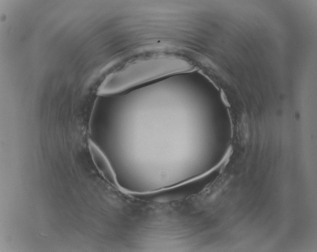 X0000074320822200609082005