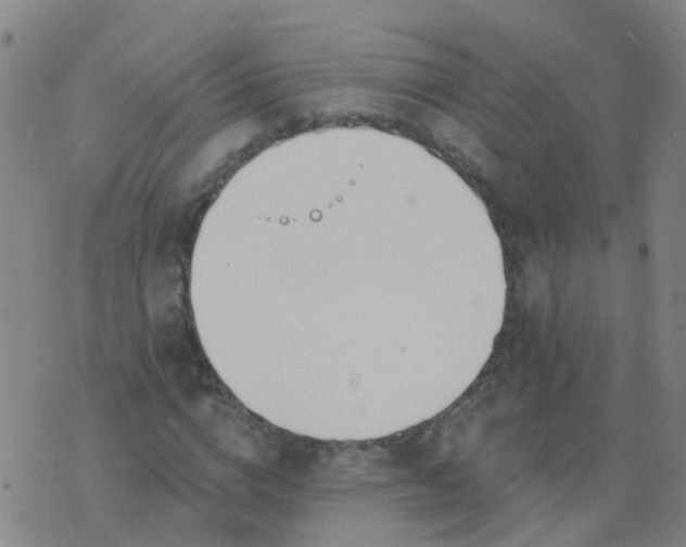 X0000074320824200609082005