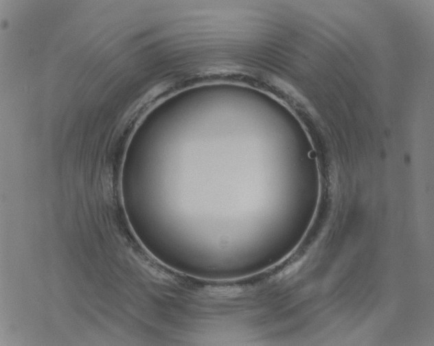 X0000074320825200609082005