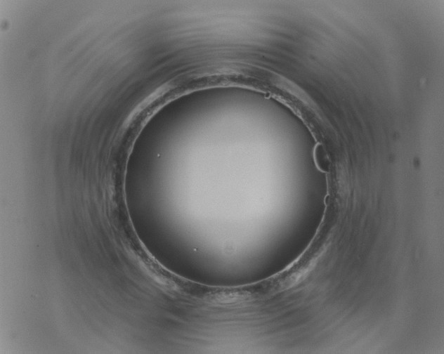 X0000074320826200609082005