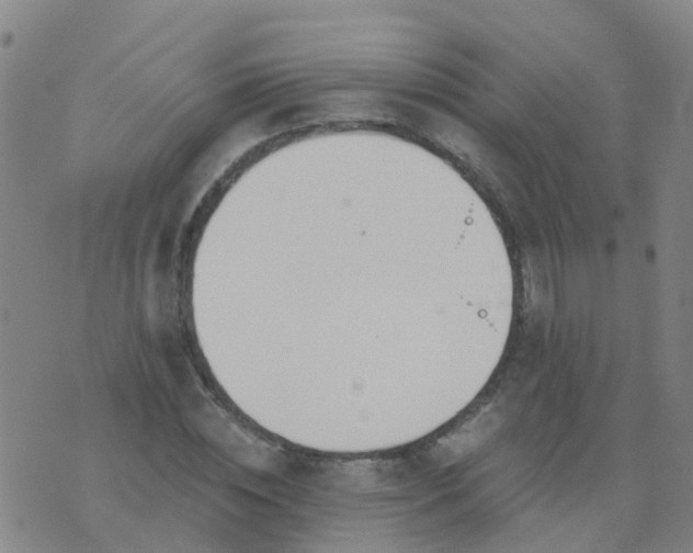 X0000074320828200609082005