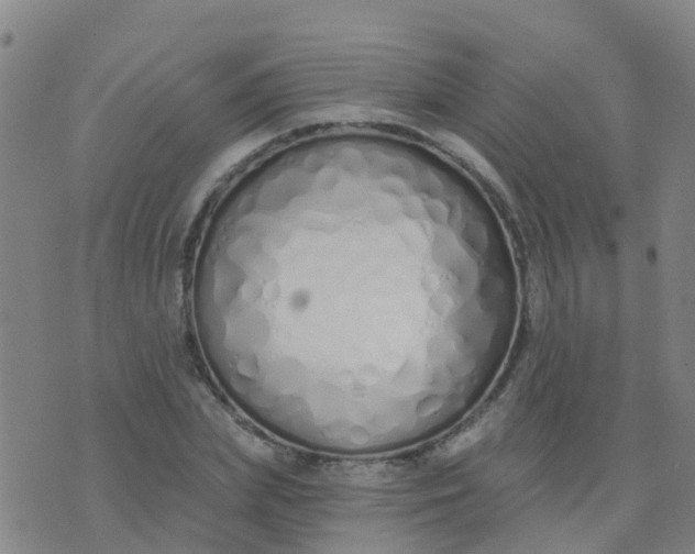 X0000074320831200609082005